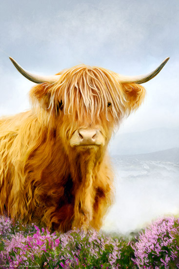 Highland Cow Painting Art Print