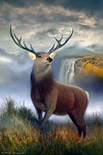 Highland Stag Oil Painting Art Print