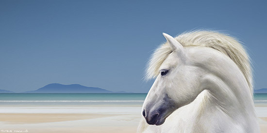 Isle of Harris - Luskentyre White Pony
