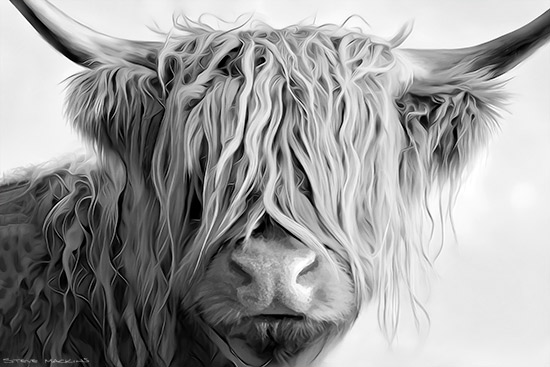 Glencoe Highland Cow II Mono