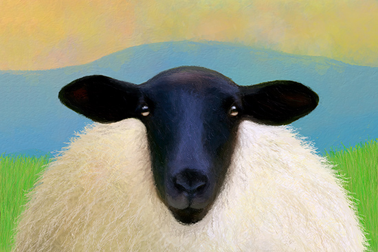 Suffolk Sheep Ewe