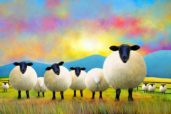 Pastel Sky Suffolk Sheep