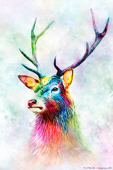 Highland Stag Watercolour 