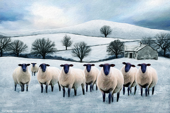 Suffolk Sheep Flock Artwork Print