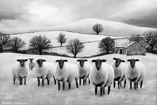 Suffolk Flock Winter Scene (mono)