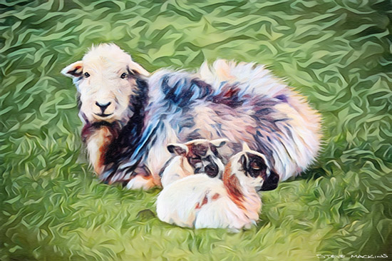Herdy Ewe with Lambs IV