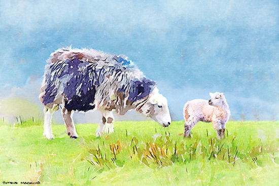 Herdy Ewe with Lamb