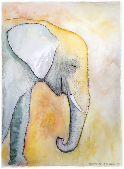 Elephant Watercolour