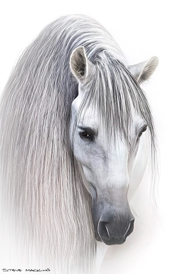 White Horse VII