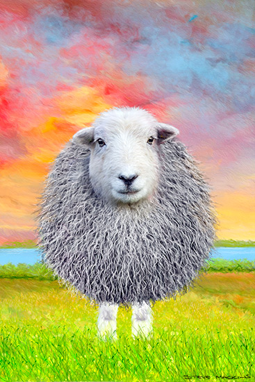 Fiona the Herdy