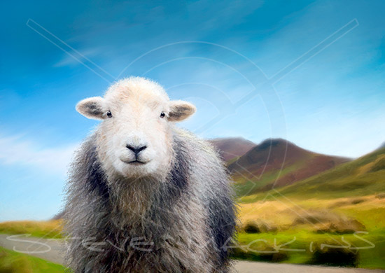 Lake District Wildlife Art Print