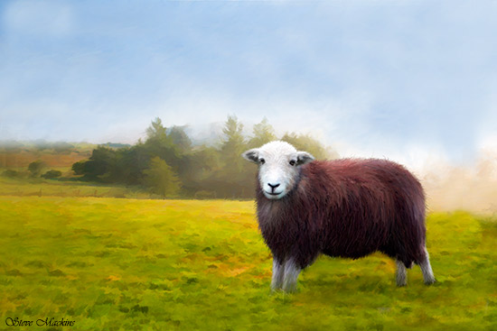 Lake District Wildlife Art Print