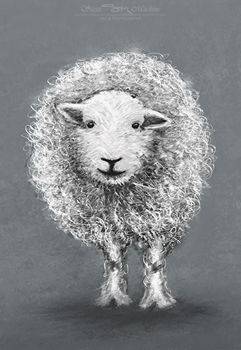 Lake District Wildlife Art Print