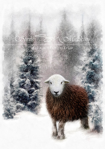 Lake District Wildlife Art Print
