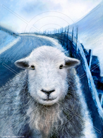 Lake District Wildlife Art Print