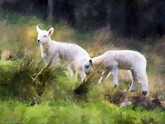 Lake District Wildlife Art Print