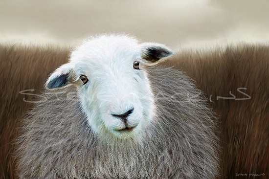 Lake District Wildlife Art Print