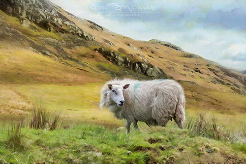 Lake District Wildlife Art Print