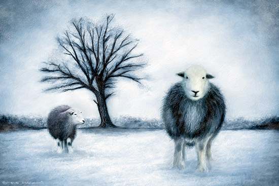 Lake District Wildlife Art Print