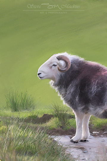 Lake District Wildlife Art Print