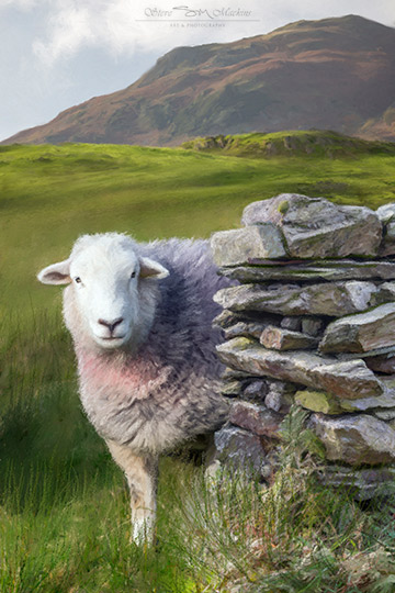 Lake District Wildlife Art Print