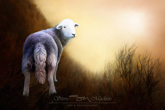 Lake District Wildlife Art Print