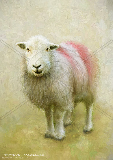 Lake District Wildlife Art Print