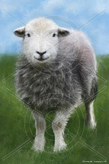 Lake District Wildlife Art Print
