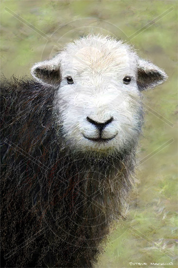 Lake District Wildlife Art Print