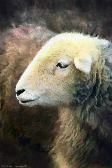 Lake District Wildlife Art Print