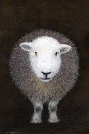 Lake District Wildlife Art Print