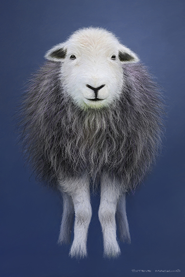 Lake District Wildlife Art Print