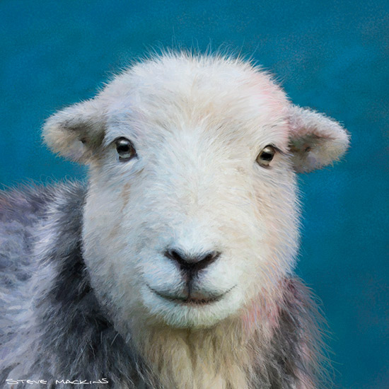Lake District Wildlife Art Print