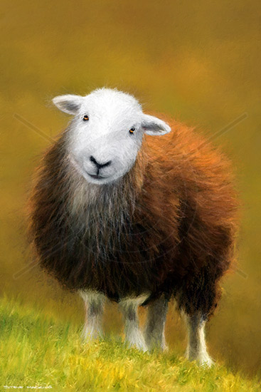 Lake District Wildlife Art Print