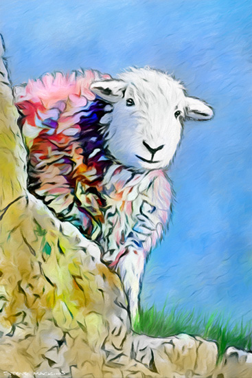 Lake District Wildlife Art Print