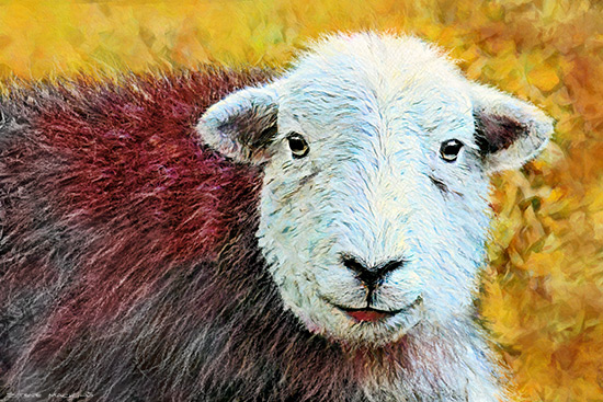 Lake District Wildlife Art Print