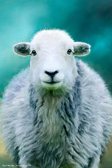Lake District Wildlife Art Print