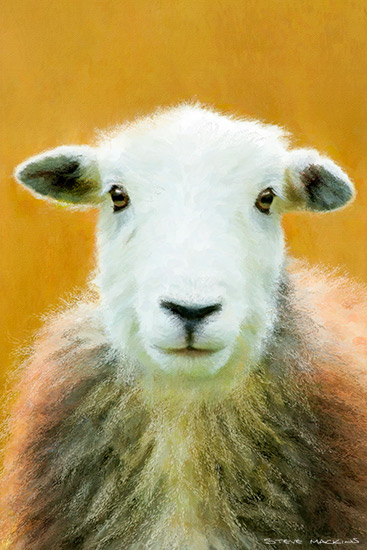 Lake District Wildlife Art Print