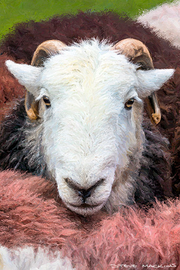 Lake District Wildlife Art Print