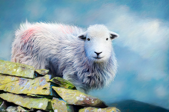Lake District Wildlife Art Print