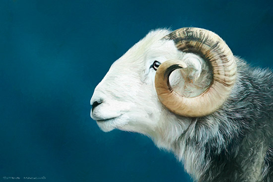 Lake District Wildlife Art Print