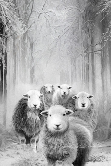 Lake District Wildlife Art Print