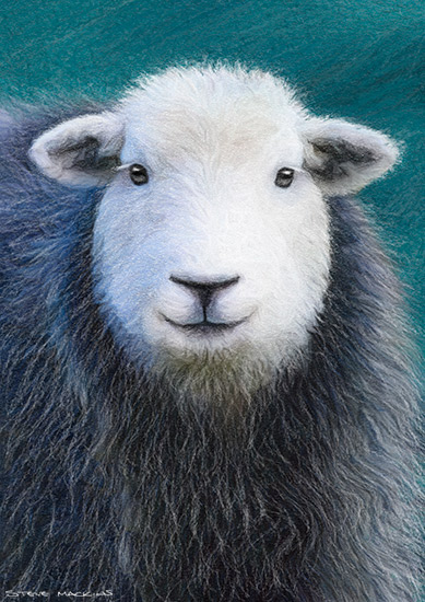 Lake District Wildlife Art Print