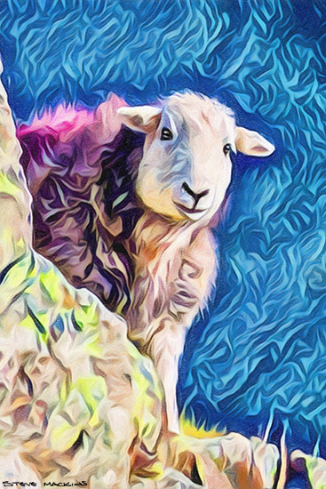 Lake District Wildlife Art Print