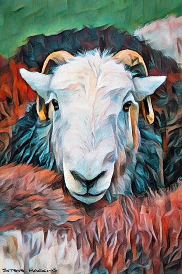 Lake District Wildlife Art Print