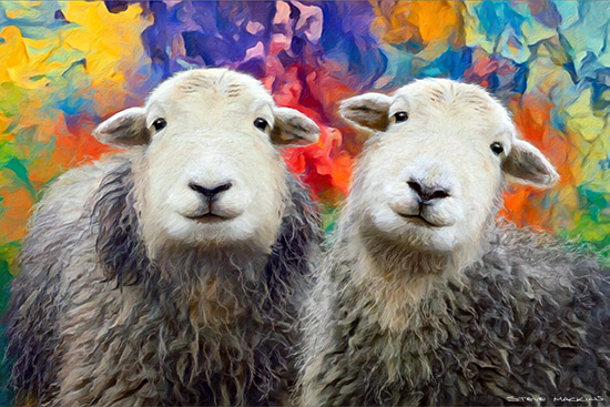 Lake District Wildlife Art Print