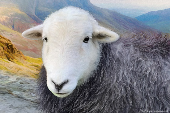 Lake District Wildlife Art Print