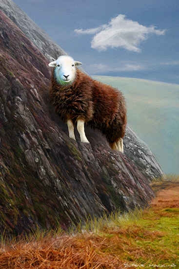 Lake District Wildlife Art Print
