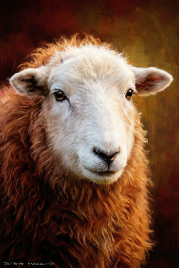 Lake District Wildlife Art Print