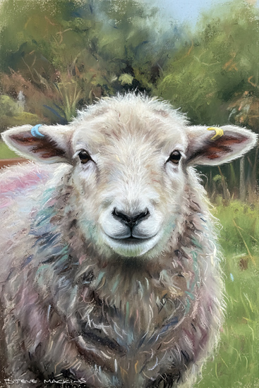 Lake District Wildlife Art Print